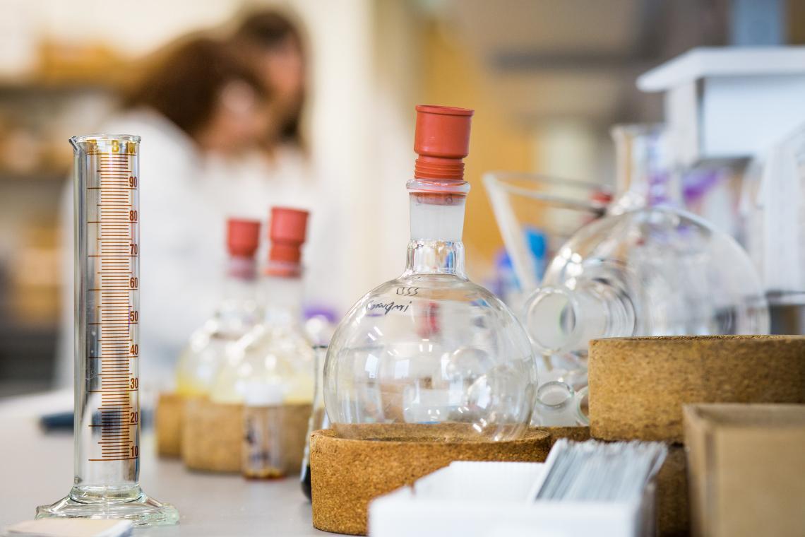 bottles lined up in a laboratory