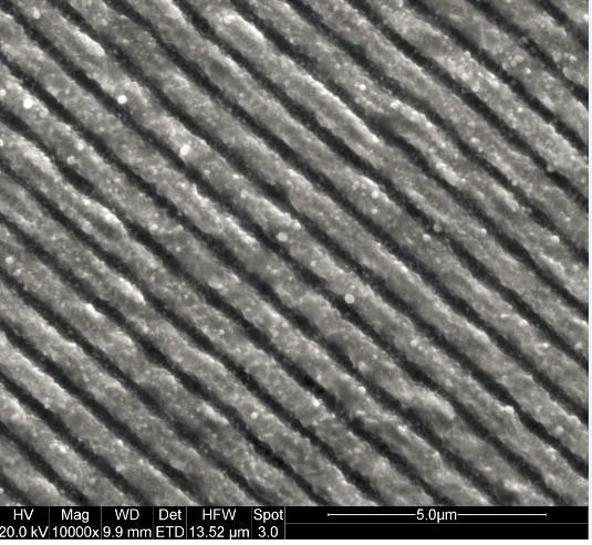 Butterfly wings structure at 10,000 x magnification