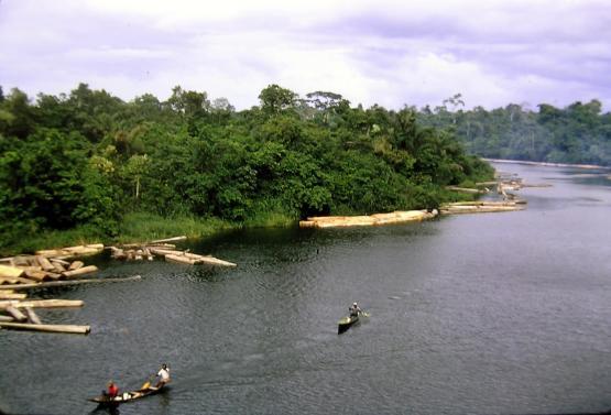 showing water and trees