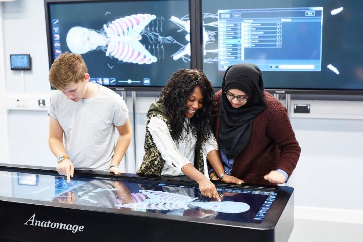 Students using an Anatomage table