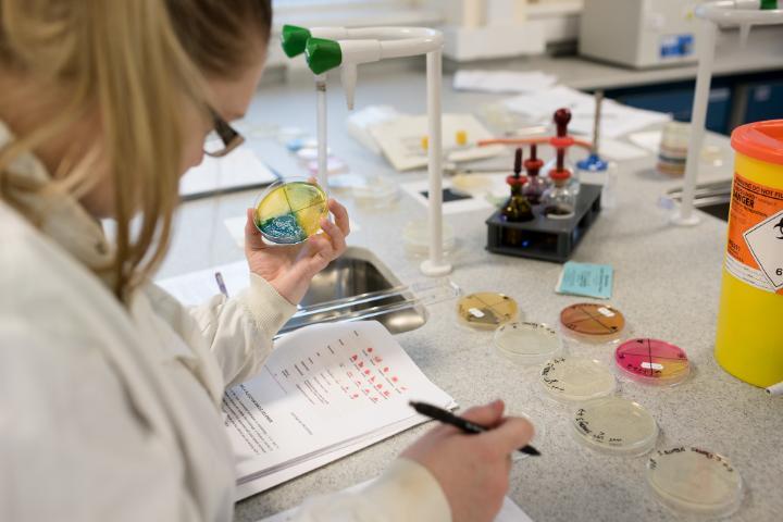 A Biomedical Science student in the lab